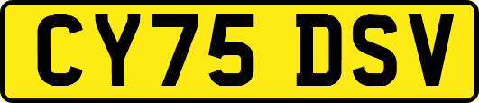 CY75DSV