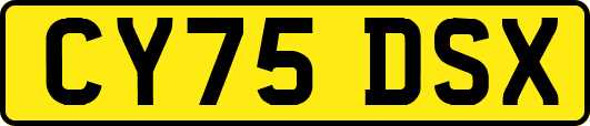 CY75DSX