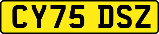 CY75DSZ