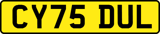 CY75DUL