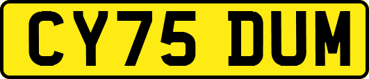 CY75DUM