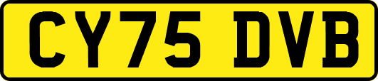 CY75DVB