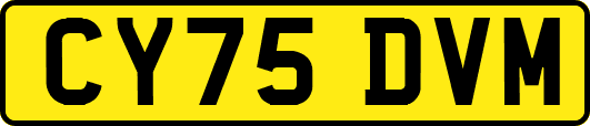 CY75DVM