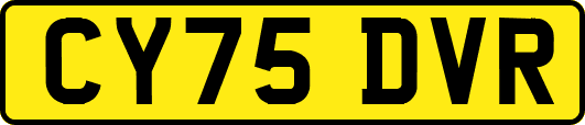 CY75DVR