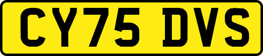 CY75DVS