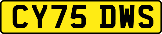 CY75DWS
