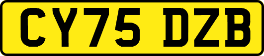 CY75DZB