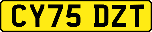 CY75DZT