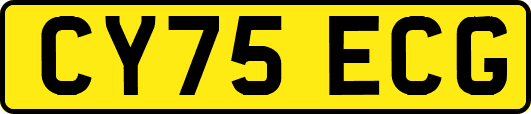 CY75ECG