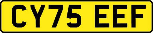 CY75EEF