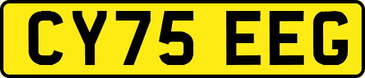 CY75EEG
