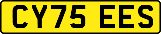 CY75EES