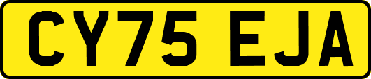 CY75EJA
