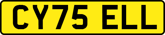 CY75ELL