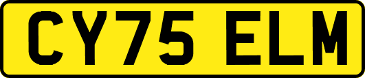 CY75ELM