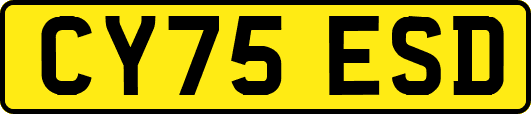 CY75ESD