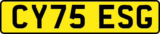 CY75ESG