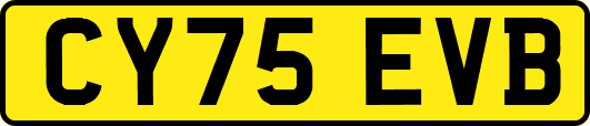 CY75EVB