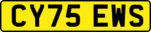 CY75EWS