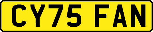 CY75FAN