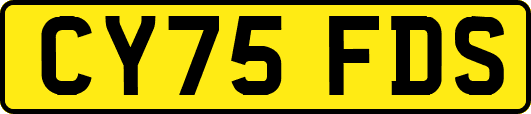 CY75FDS