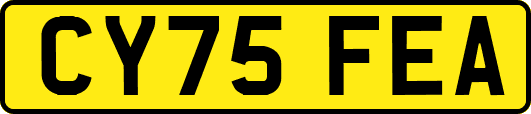 CY75FEA