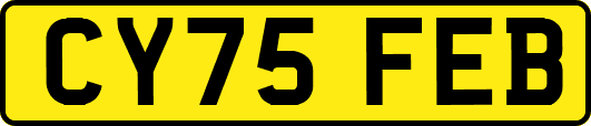 CY75FEB
