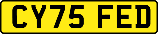 CY75FED