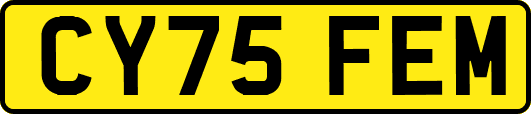CY75FEM