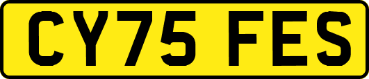 CY75FES