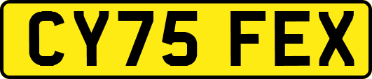 CY75FEX