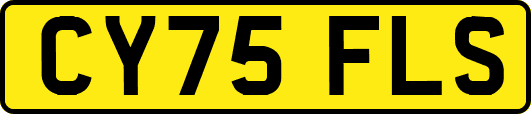 CY75FLS
