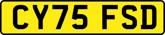 CY75FSD