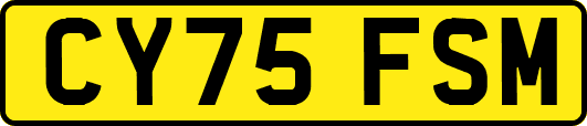CY75FSM