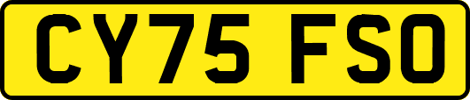 CY75FSO