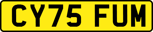 CY75FUM