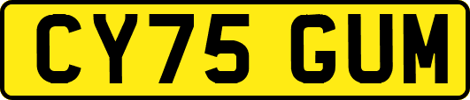 CY75GUM