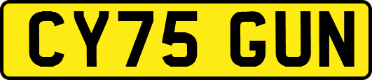 CY75GUN
