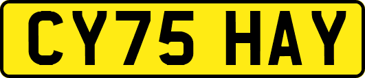 CY75HAY