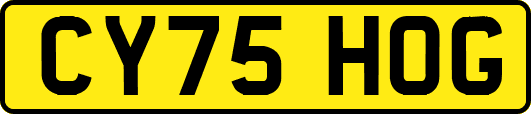 CY75HOG
