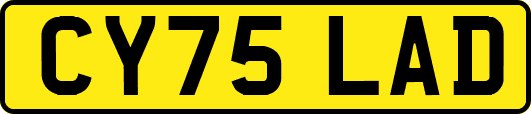 CY75LAD