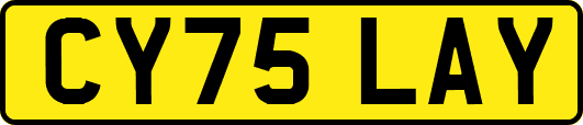 CY75LAY