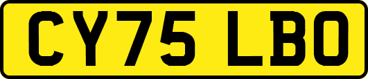 CY75LBO