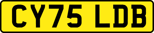 CY75LDB