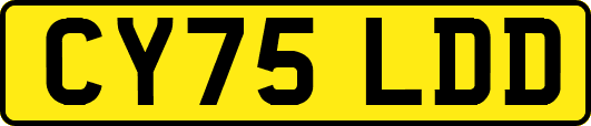 CY75LDD