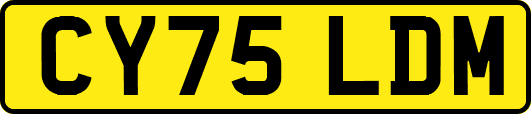CY75LDM