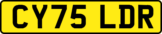 CY75LDR