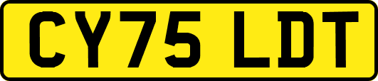 CY75LDT