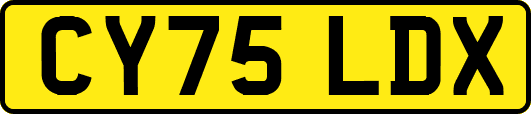 CY75LDX