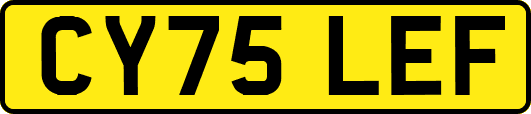 CY75LEF